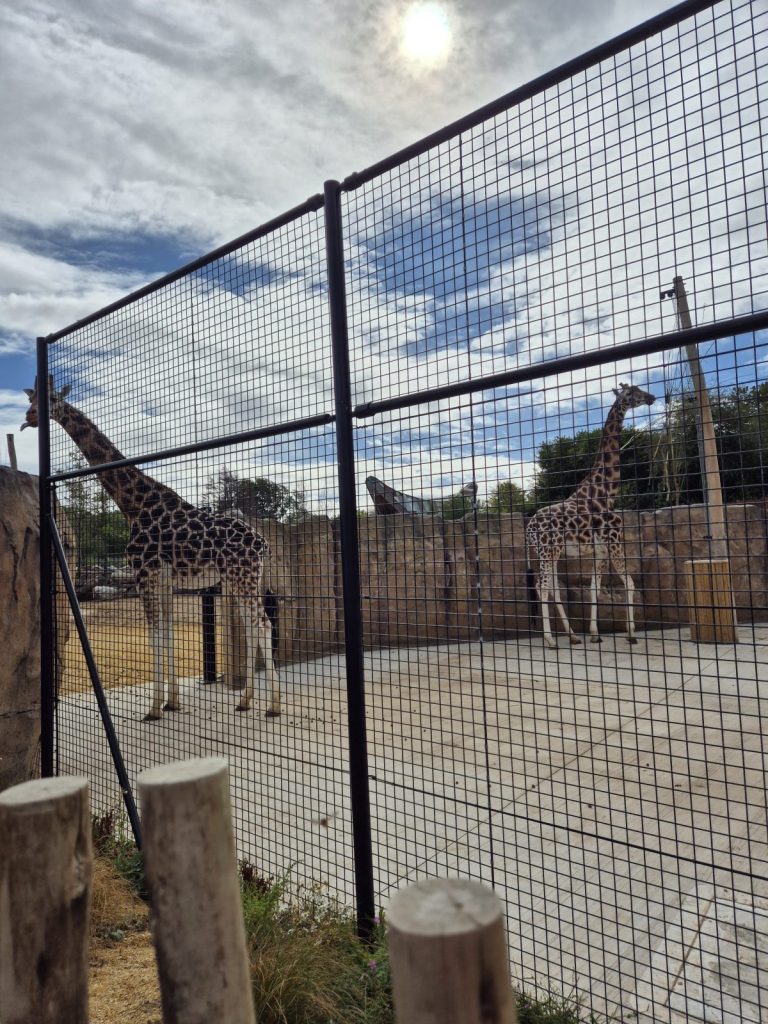 Chester Zoo