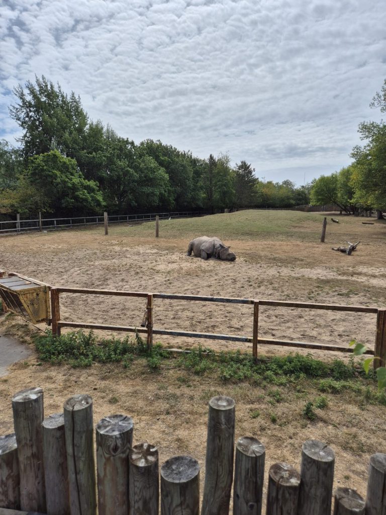 Chester Zoo