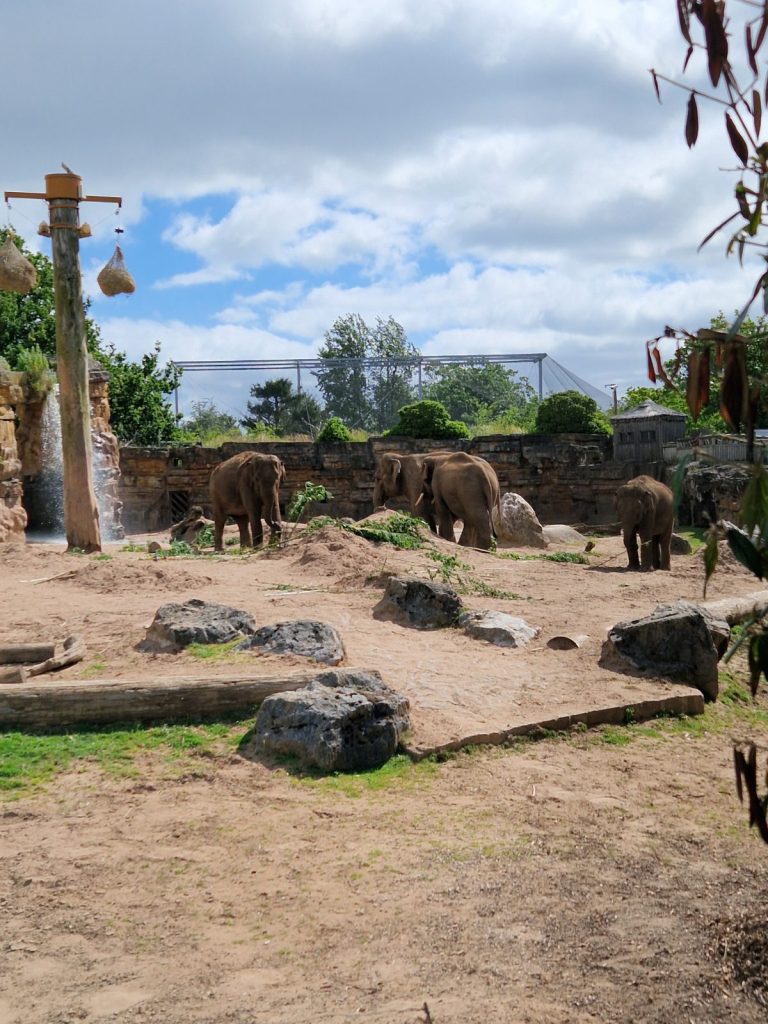 Chester Zoo