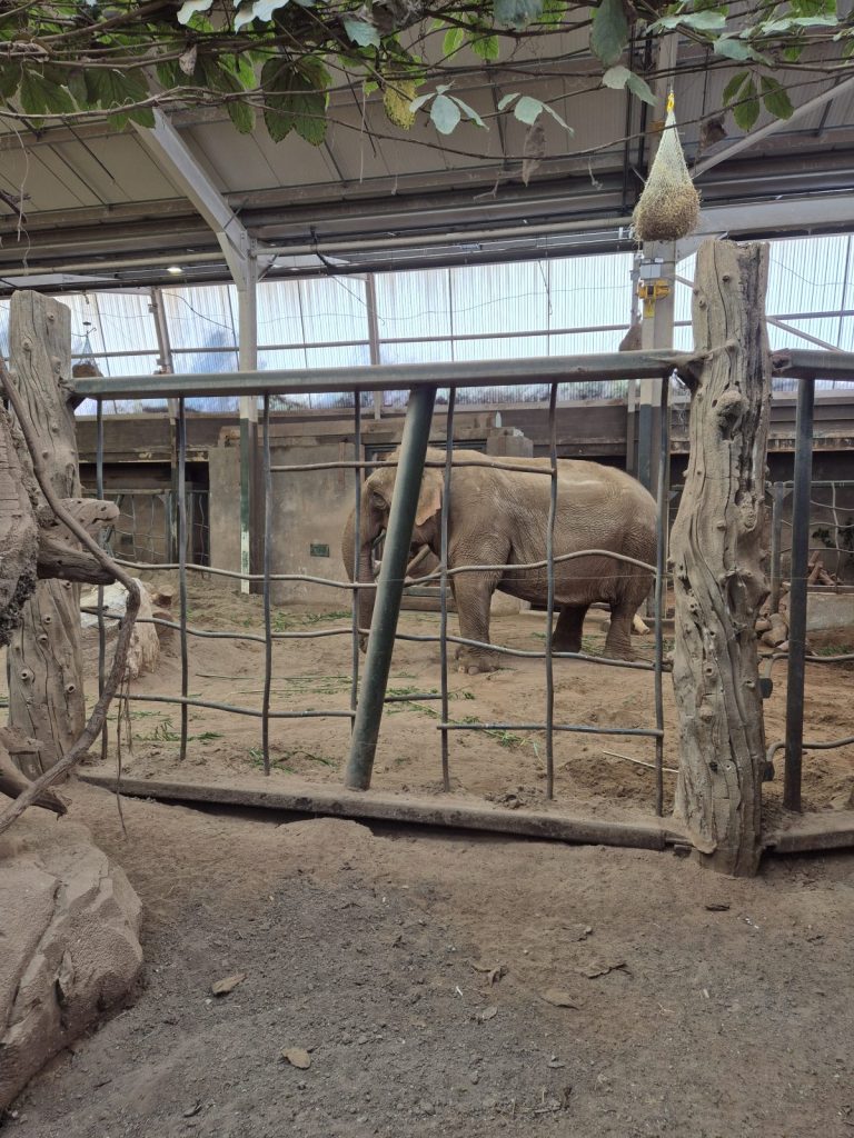 Chester Zoo