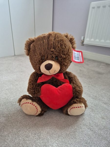 Teddy bear