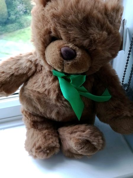 Teddy bear