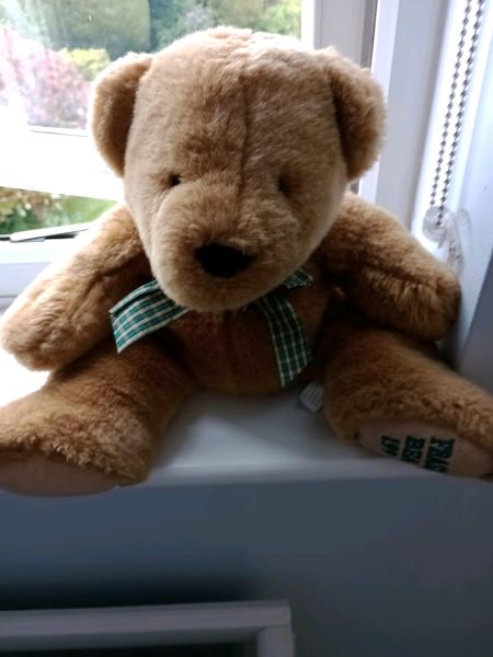 Teddy bear