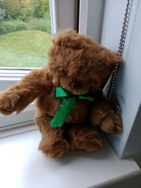 Small teddy bear
