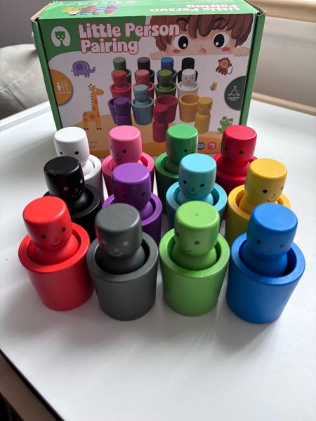 Wooden Montessori style colour sorting cup