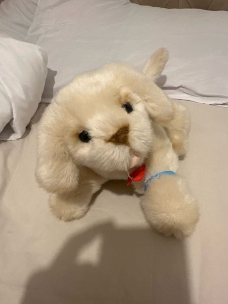 Soft White Plush Puppy Dog Toy – Cuddly & Cute